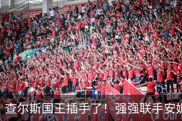 查尔斯国王插手了！强强联手安妮长公主和苏菲，威廉王储进退两难